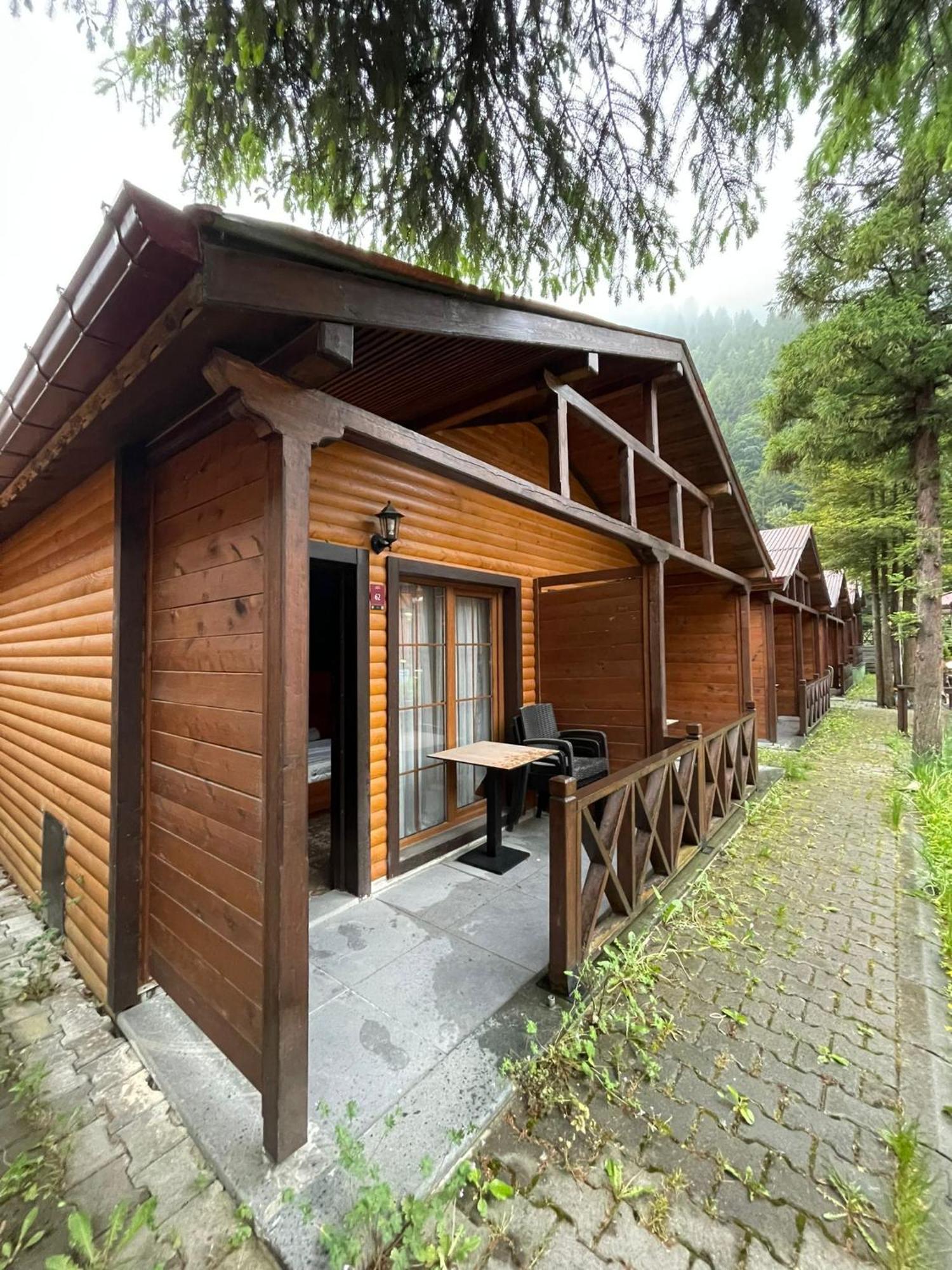 Centro Park Hotel Uzungöl Eksteriør billede