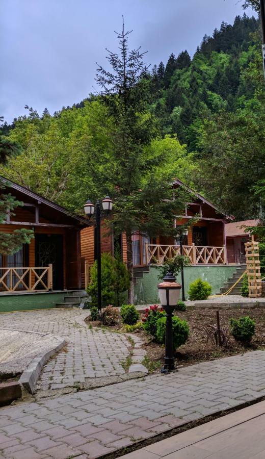 Centro Park Hotel Uzungöl Værelse billede