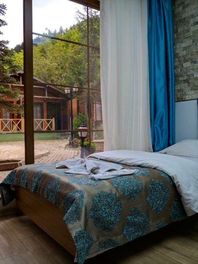 Centro Park Hotel Uzungöl Værelse billede
